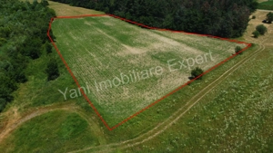 Teren de vânzare în comuna Băiculești, Judet Argeș. - imagine 9