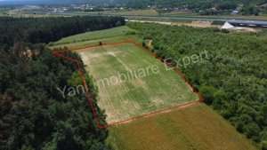 Teren de vânzare în comuna Băiculești, Judet Argeș. - imagine 12