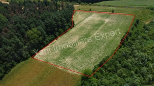 Teren de vânzare în comuna Băiculești, Judet Argeș. - imagine 10