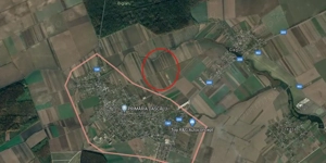 Teren Dascalu 19000 mp - Posibilitate de parcelare!