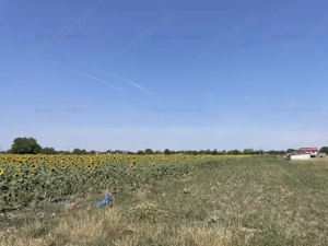 Teren Postavari - Frumusani - 1956 mp - imagine 5