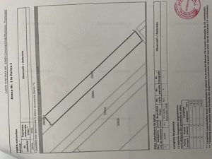 Teren Postavari - Frumusani - 1956 mp - imagine 6