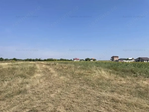 Teren Postavari - Frumusani - 1956 mp - imagine 4