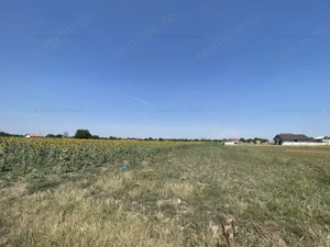 Teren Postavari - Frumusani - 1956 mp - imagine 3