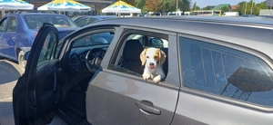 Opel Astra J sport tourer cu webasto din fabrica