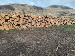 vand lemne de foc esenta tare transport la domiciliu  - imagine 2