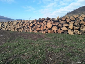 vand lemne de foc esenta tare transport la domiciliu  - imagine 3