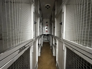 Citroen Jumper III Furgon Extins H3 - Ideal pentru transport animale  - imagine 2