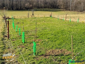 FILM! Teren extravilan 682 mp + rulota, Floroaia, Intorsura Buzaului - imagine 4