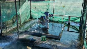 Put geotermal natural pe un teren de 36.476 mp în Socodor, Arad - imagine 3