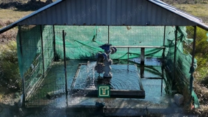 Put geotermal natural pe un teren de 36.476 mp în Socodor, Arad