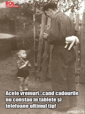 puiuti border collie  - imagine 3