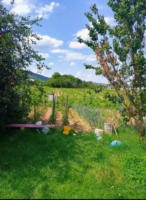 Casa Jibou, jud. Salaj - imagine 10