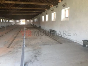 Ferma complet utilată – 30 ha teren comasat cu 11.500mp grajduri renovate Timiș – Comuna Biled - imagine 11