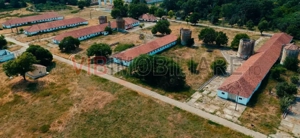 Ferma complet utilată – 30 ha teren comasat cu 11.500mp grajduri renovate Timiș – Comuna Biled - imagine 6