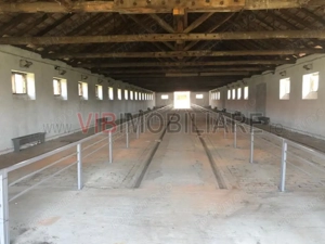Ferma complet utilată – 30 ha teren comasat cu 11.500mp grajduri renovate Timiș – Comuna Biled - imagine 13