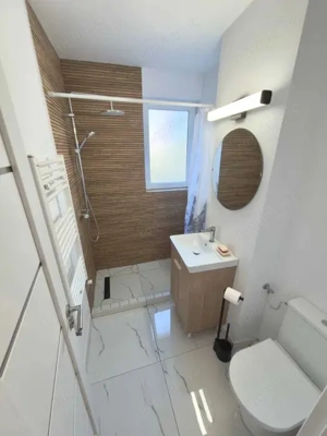 Cornisa - Inchiriere apartament 2 camere - Str. Argesului - imagine 8
