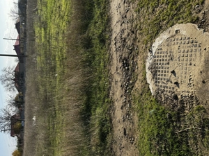 Vând Teren intravilan Cataloi , 1612 mp - imagine 10