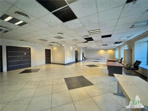 Spatii Office de inchiriat  la mezanin in zona Grozavesti  Sector 6