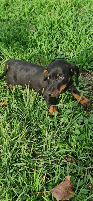 Techel mascul .. - imagine 2