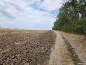 vand loturi de teren langa padure si lac la 30min de Unirii