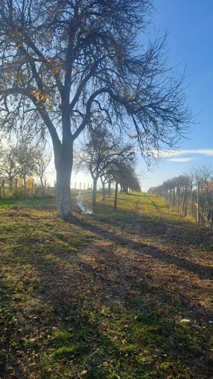 Teren parțial intravilan - imagine 3