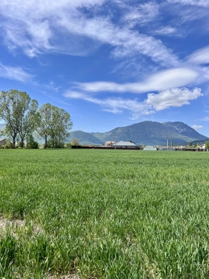 Teren de vânzare Zărnești Brasov, Intravilan 1150m2 