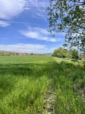 Teren de vânzare Zărnești intravilan - imagine 5