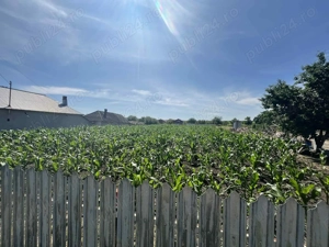 Teren intravilan de vânzare! 