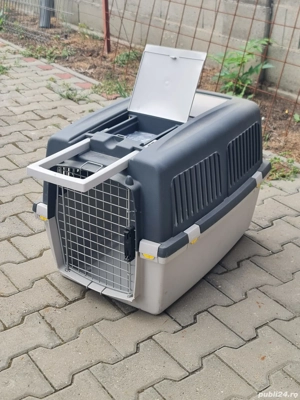 cusca de câine sau pisica 