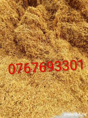 Firicel Olanda 0.1 original