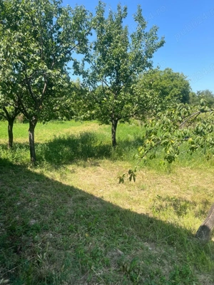 Vând teren 850 mp Goruni - Iași - imagine 3