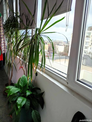 Apartament de vânzare 