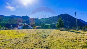 COMISION 0% Teren 13,800mp Fundatica / Intravilan - imagine 15