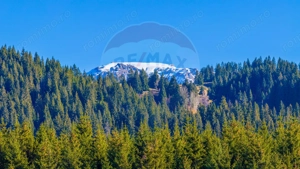 COMISION 0% Teren 13,800mp Fundatica / Intravilan - imagine 14