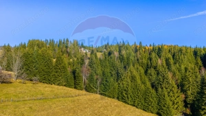 COMISION 0% Teren 13,800mp Fundatica / Intravilan - imagine 17