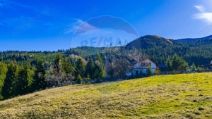 COMISION 0% Teren 13,800mp Fundatica / Intravilan - imagine 4