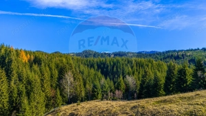 COMISION 0% Teren 13,800mp Fundatica / Intravilan - imagine 12