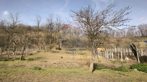 Casă  la țară in Transilvania - sat sasesc Păucea, jud. Sibiu - imagine 10