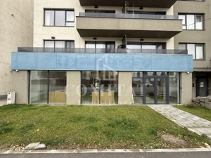 Spațiu comercial ideal showroom str Borhanciului