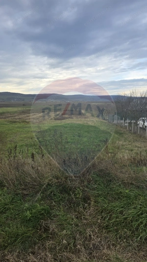 Teren intravilan si extravilan 8,282mp oras Negresti, judetul Vaslui - imagine 3