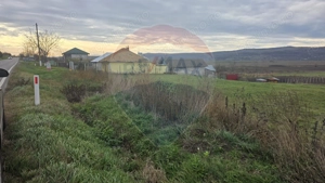 Teren intravilan si extravilan 8,282mp oras Negresti, judetul Vaslui - imagine 5