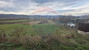 Teren intravilan si extravilan 8,282mp oras Negresti, judetul Vaslui - imagine 6