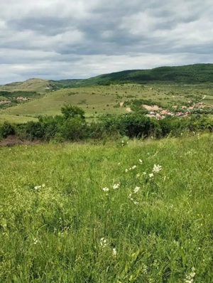  Vând teren intravilan 2200mp în Cluj .Baciu sat Rădaia   - imagine 3