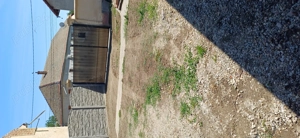 Vand teren in sannicolau mare - imagine 5