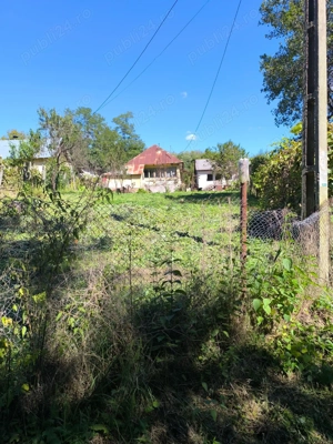 Gospodarie în Jud. Vâlcea, com. Peșceana, sat Ursoaia, 2 case și anexe