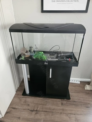 Acvariu Diversa 80 (112L) + Stand Diversa confort + Accesorii