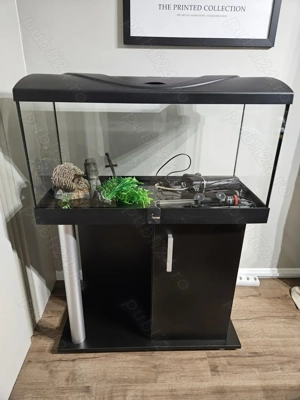 Acvariu Diversa 80 (112L) + Stand Diversa confort + Accesorii - imagine 5