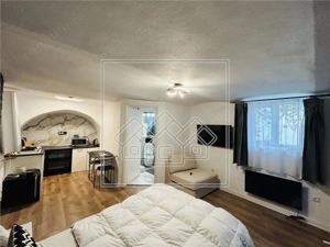 Garsoniera mobilata si utilata, 23 mp utili - Zona Ultracentrala - imagine 3