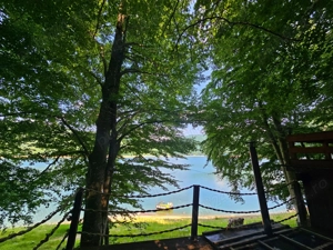 Cabană de vânzare pe Transfăgărășan, cu deschidere directă la Lacul Vidraru. - imagine 12